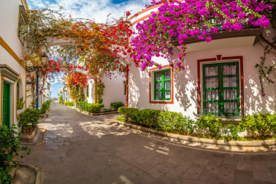 FREE Gran Canaria Garden Guided Tour*